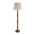 MF251086