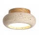 CEILING LIGHT