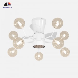 8010-600-Ceiling fan light
