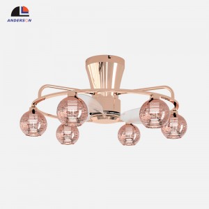 8031Ceiling fan light