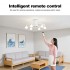 8033 Ceiling fan light