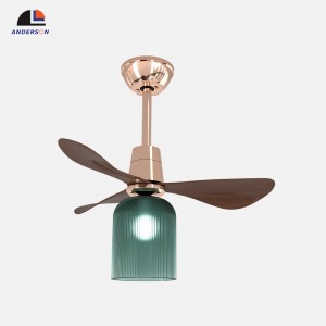 8050-700 Ceiling fan light