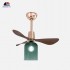 8050-700 Ceiling fan light 8050-700 Ceiling fan light