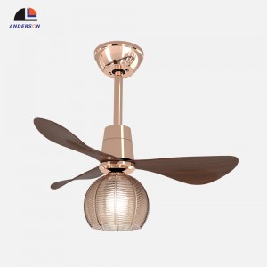 8051-700 Ceiling fan light