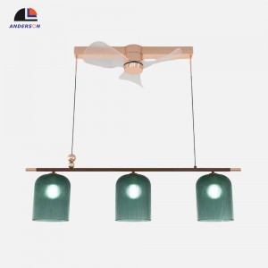 8061-1000 Ceiling fan light